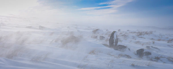 A gust of cold southern wind sweeping over a Magellanic landscape at dawn.