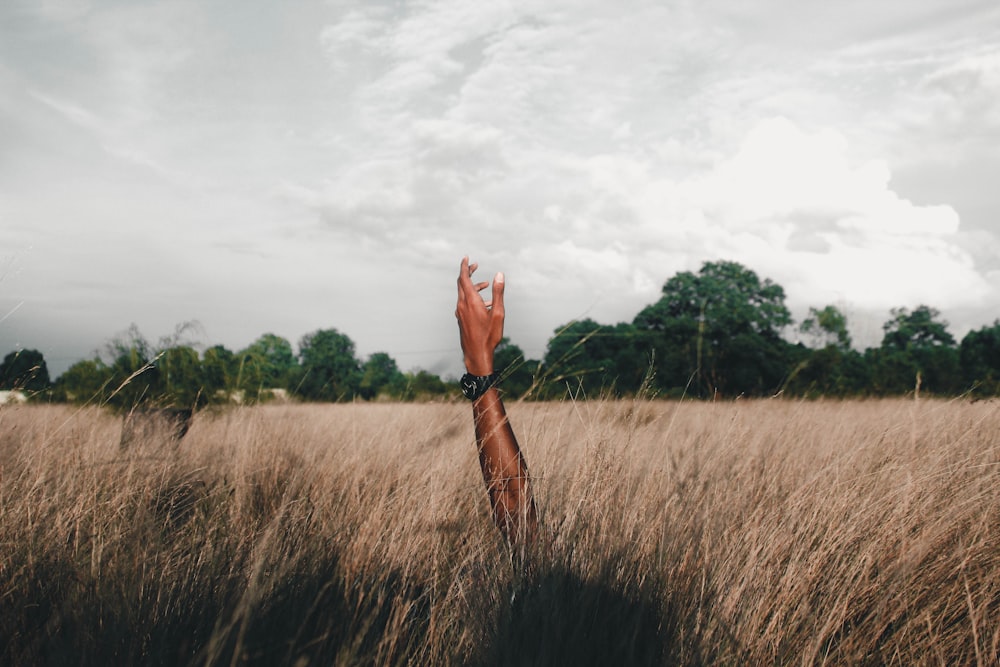 Foto di una persona che alza la mano sinistra circondata da erba verde