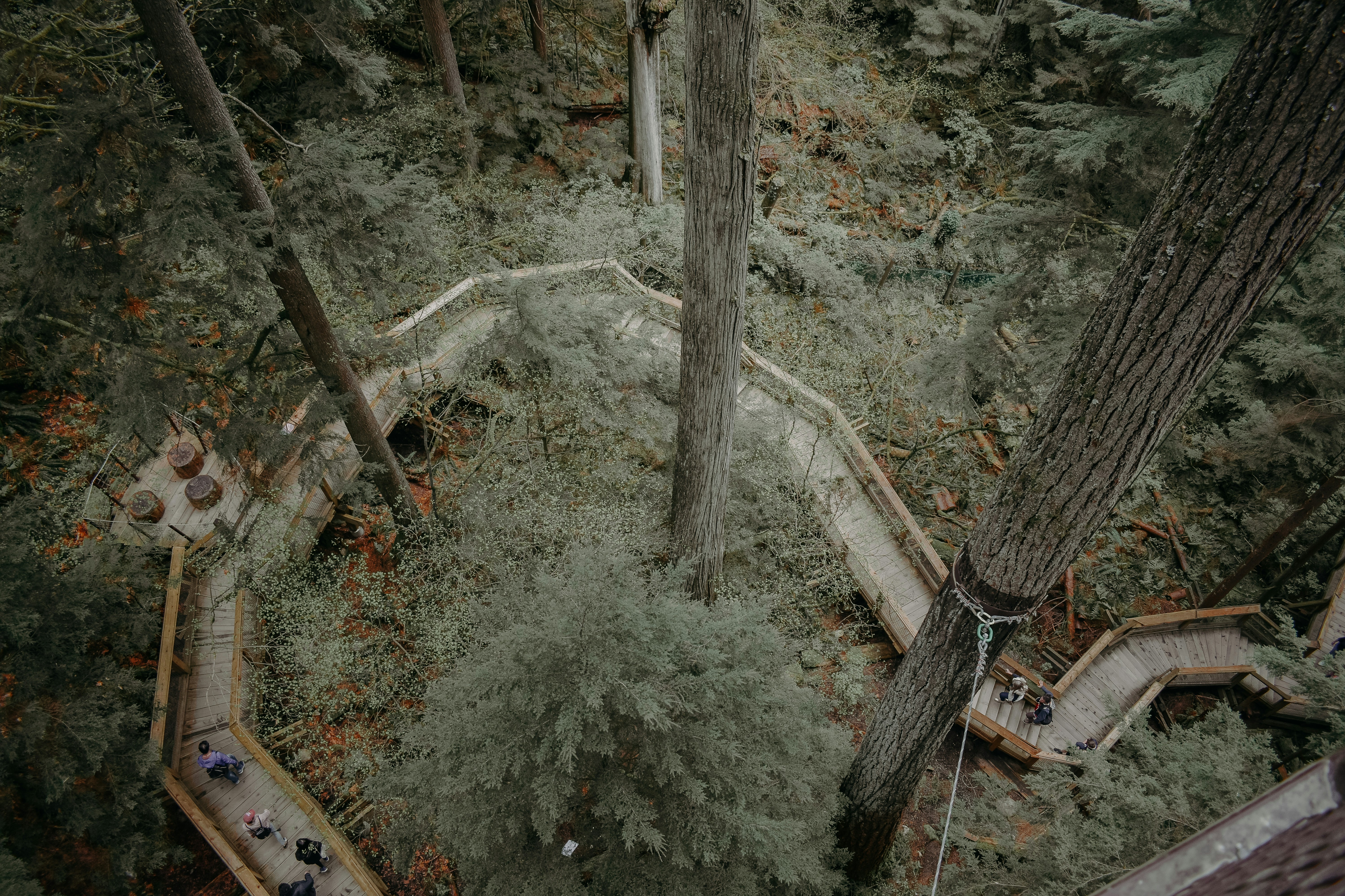 hike