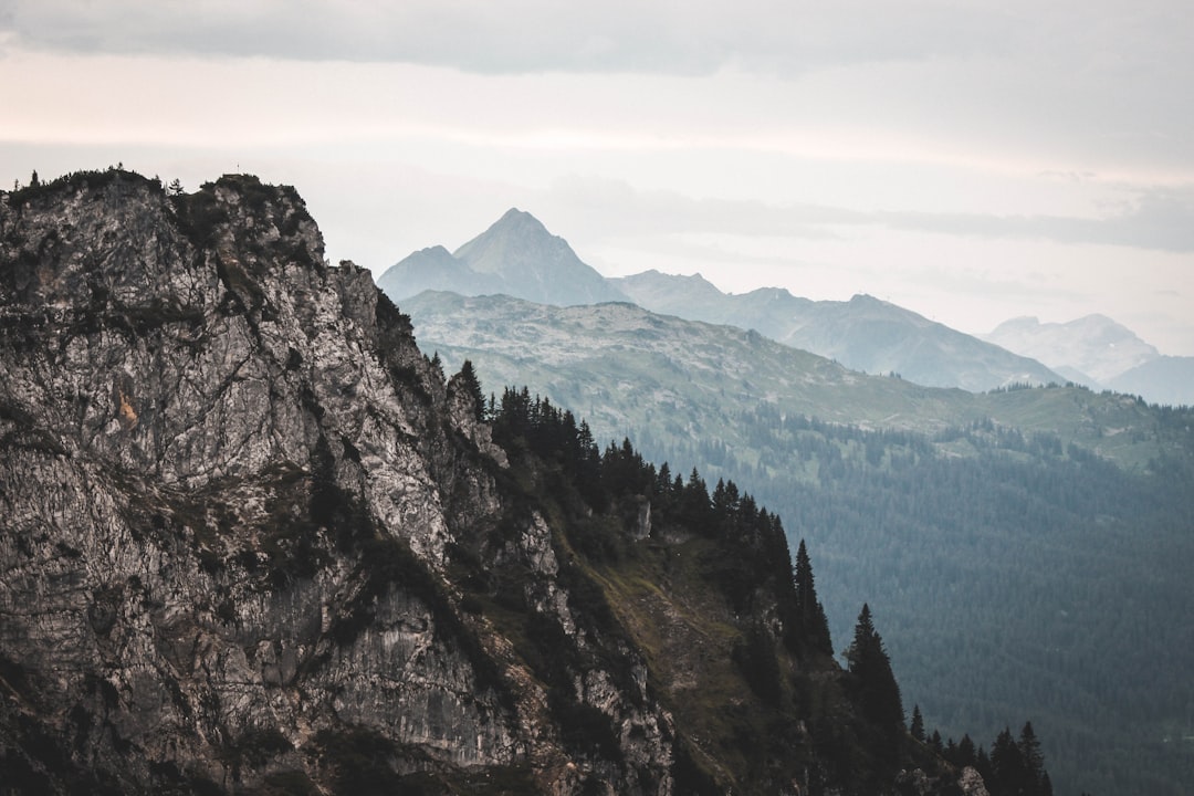 Forest photo spot Lech Austria