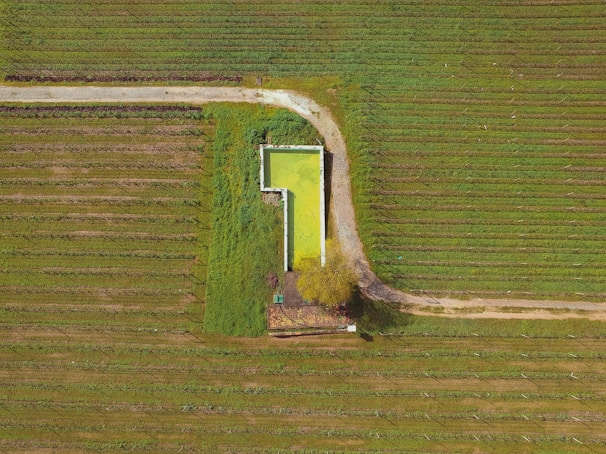 Aerial view of organicore’s production facility surrounded by greenery under a clear blue sky.