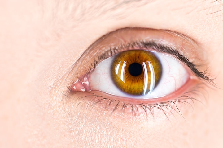 10 Foods to Improve Eye Health