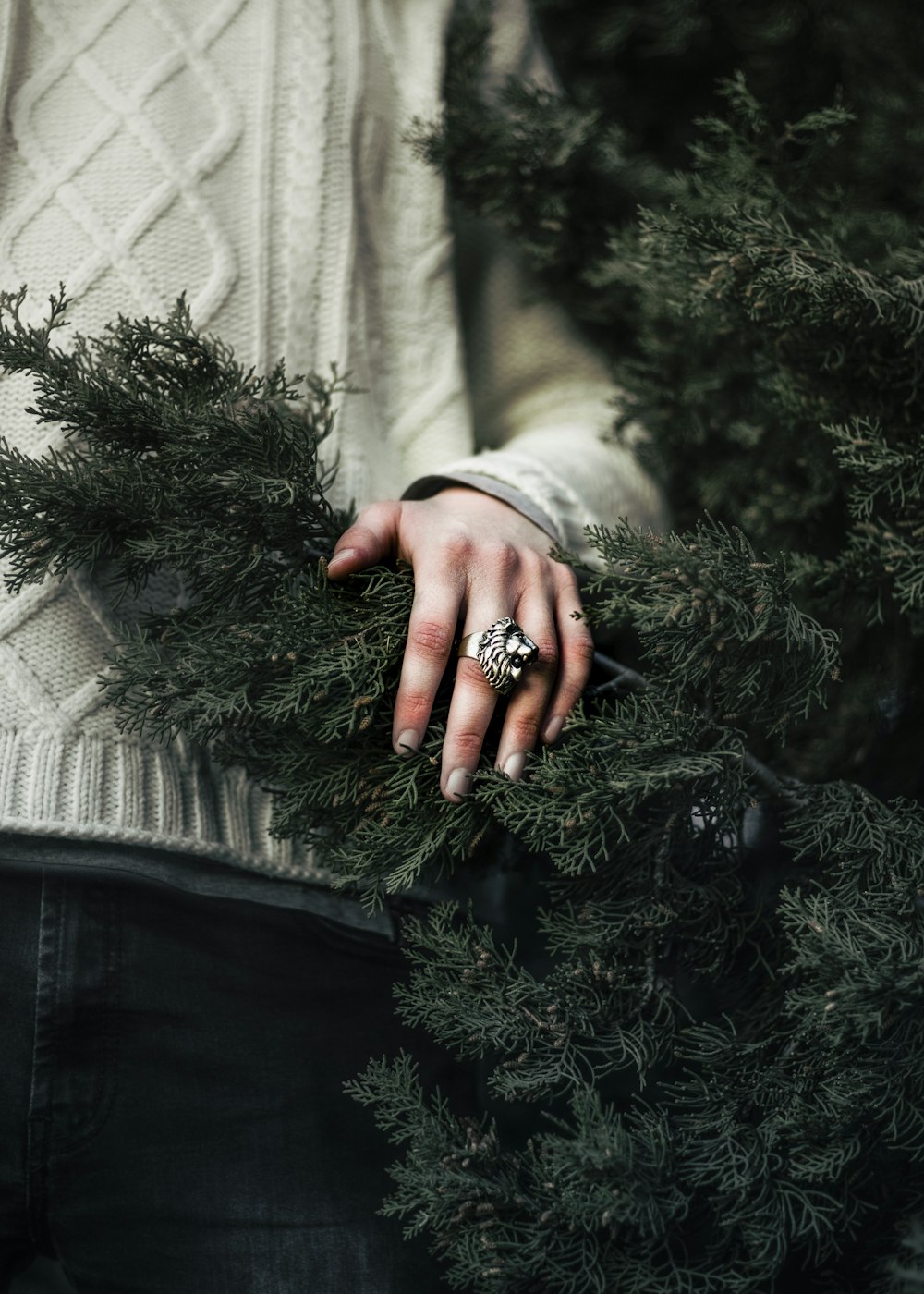 closeup photo of person standing beside green Christmas tree