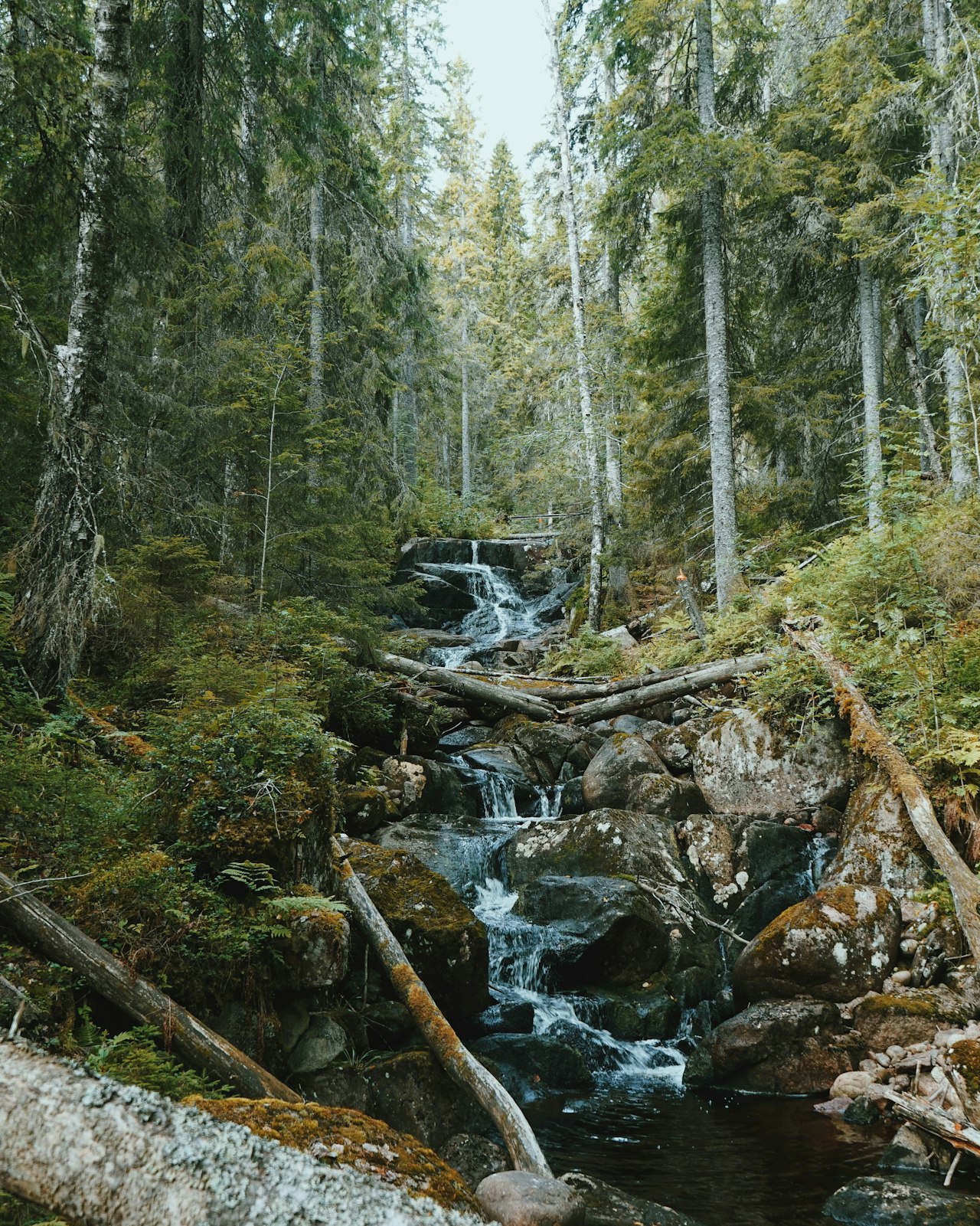 Saint Croix County Wisconsin