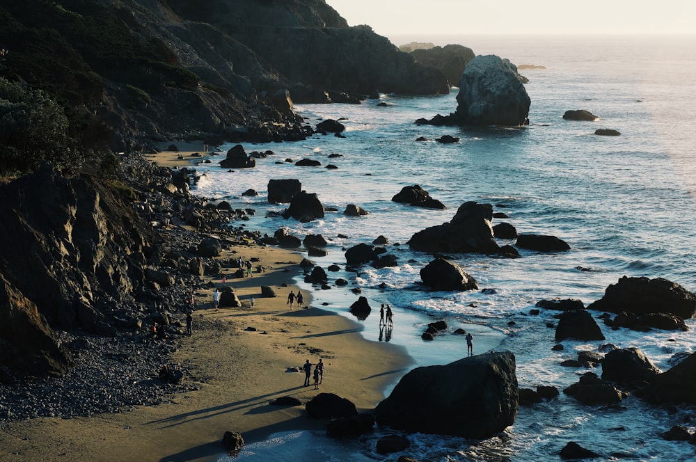 people walking beside seashore during daytime