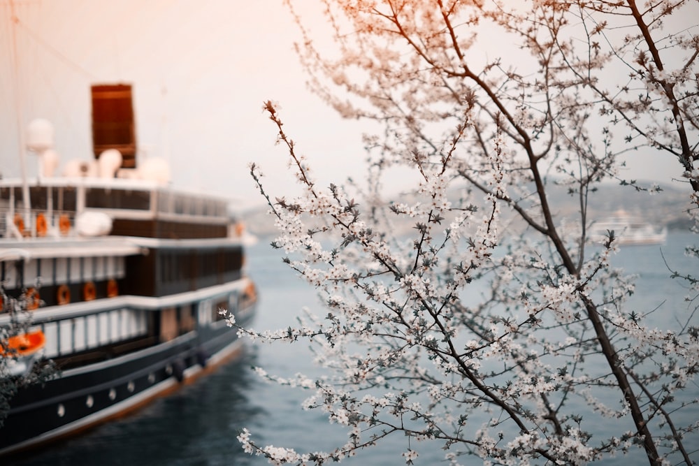 black and white ferry cruising on ocean