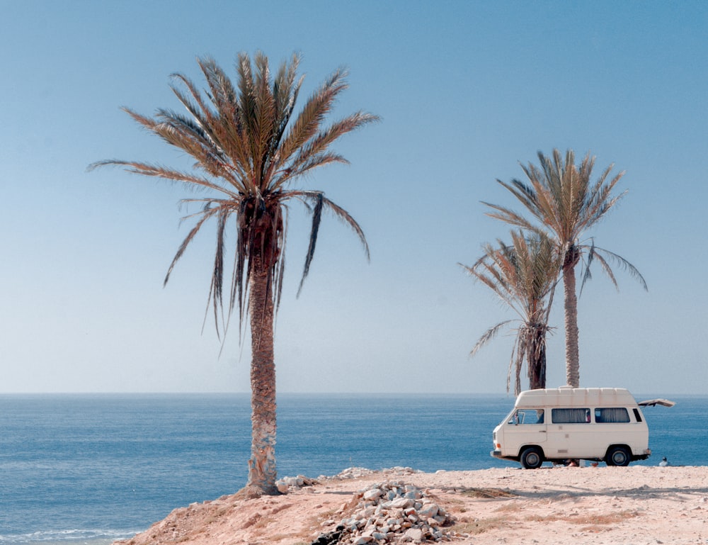 white van near trees