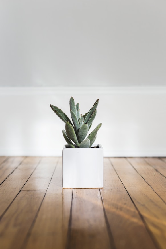 Ye Olde Wooden Board Reclaimed Small Plant Pot 