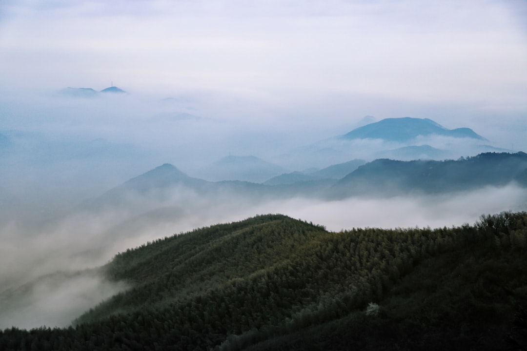 aerial view photography of green mountain under white fog