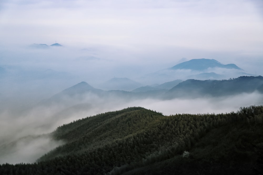 vista aerea fotografia della montagna verde sotto la nebbia bianca
