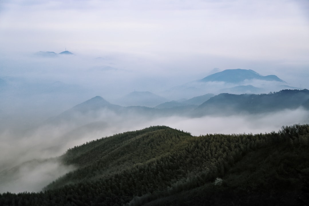 aerial view photography of green mountain under white fog,