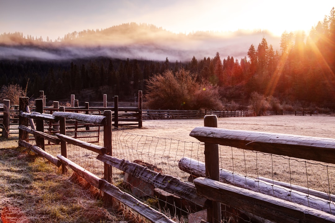 photo of brown wooden fence near forest during sunset