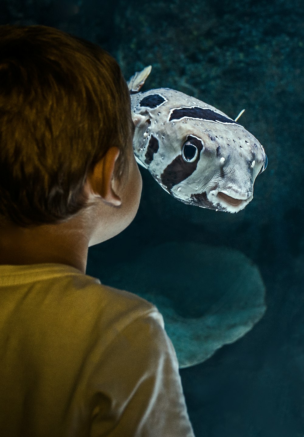 boy standing beside fish inside room