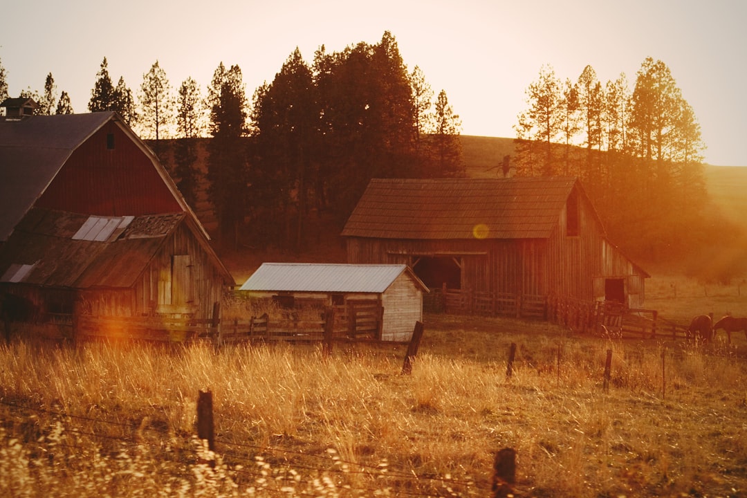 brown wooden house near green leafed trees