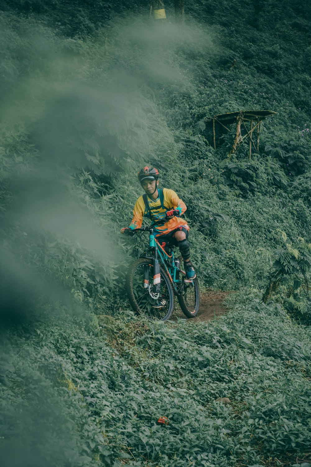 man riding teal full-suspension mountain bike on edge surrounded by green leaf plants