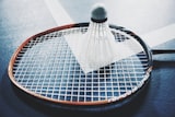 Badminton Coaching (1 hr)