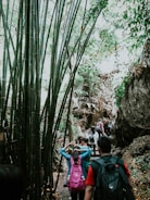 A group of tourists hiking through lush green forests in Banjarnegara.