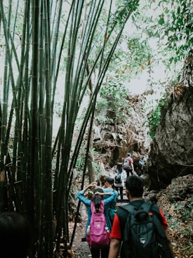 A group of hikers with backpacks walk through a dense forest path surrounded by tall bamboo stalks and lush green foliage. The trail appears to be part of a natural setting, with rocky formations visible in the background.