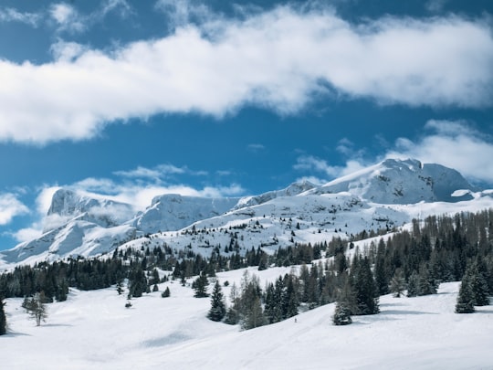 snow covered mountain and pine trees in Superdévoluy France