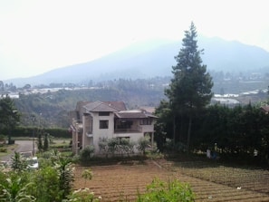A two-story house surrounded by lush greenery and fields, with a backdrop of misty mountains and dense forest. A tall conifer tree stands near the house, and there are rows of plants growing in the field in the foreground.