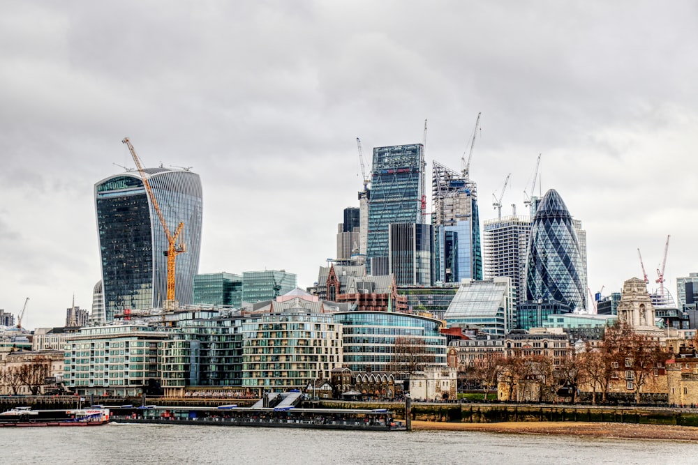 photography of city skyline