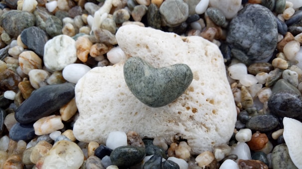 A heart-shaped stone, representing love and connection.