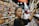 woman selecting packed food on gondola
