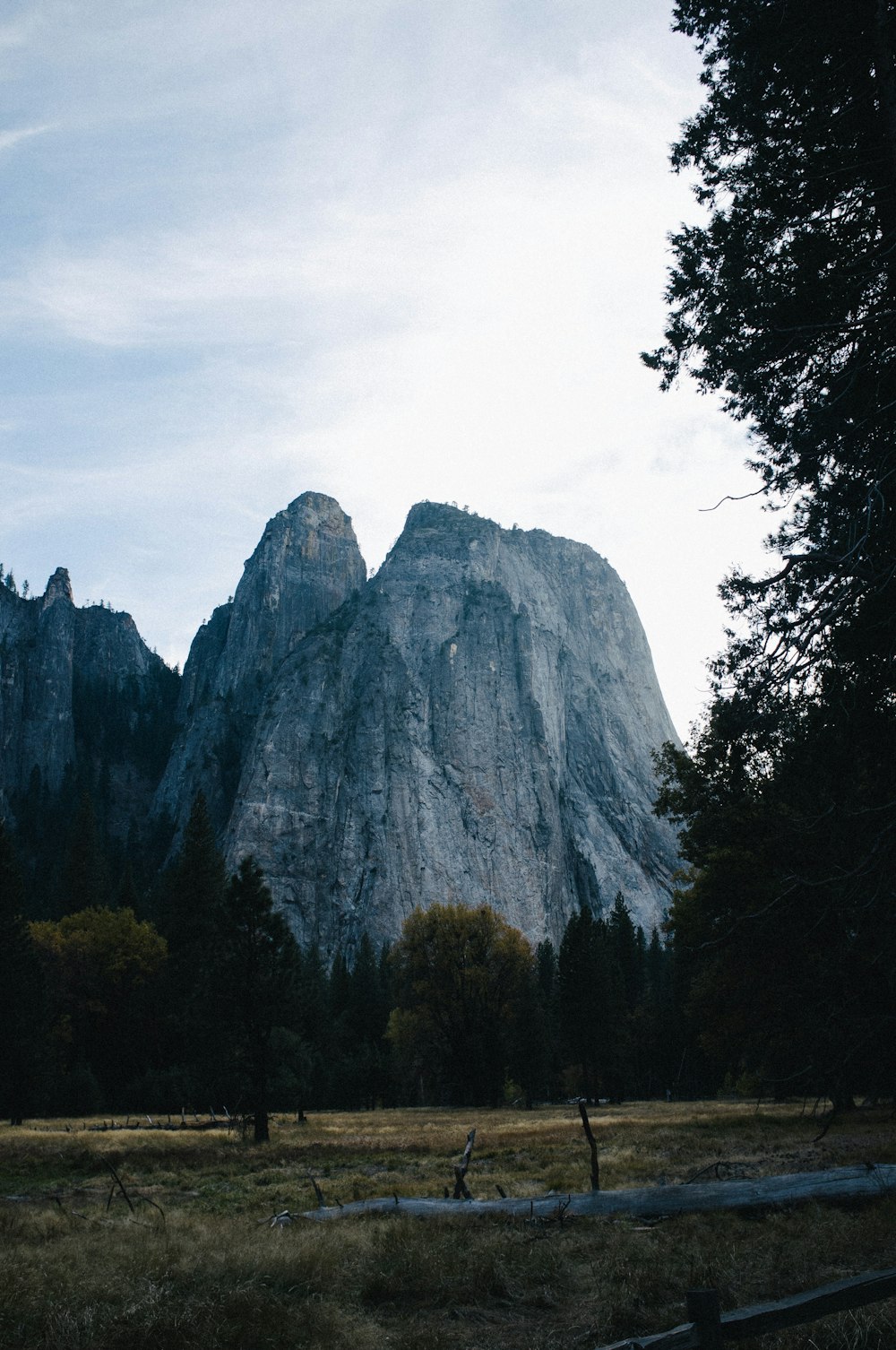 montagne entourée d’arbres