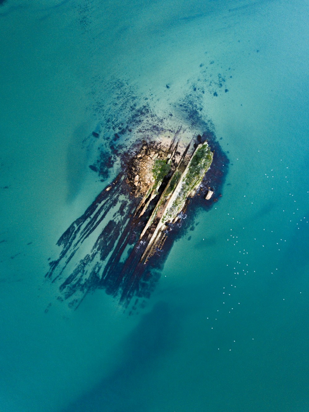 Fotografia a volo d'uccello dell'isola