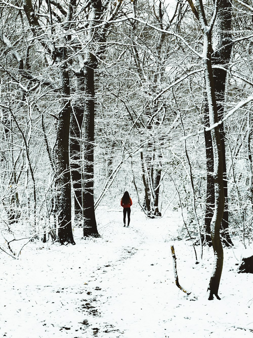 donna che cammina sotto gli alberi