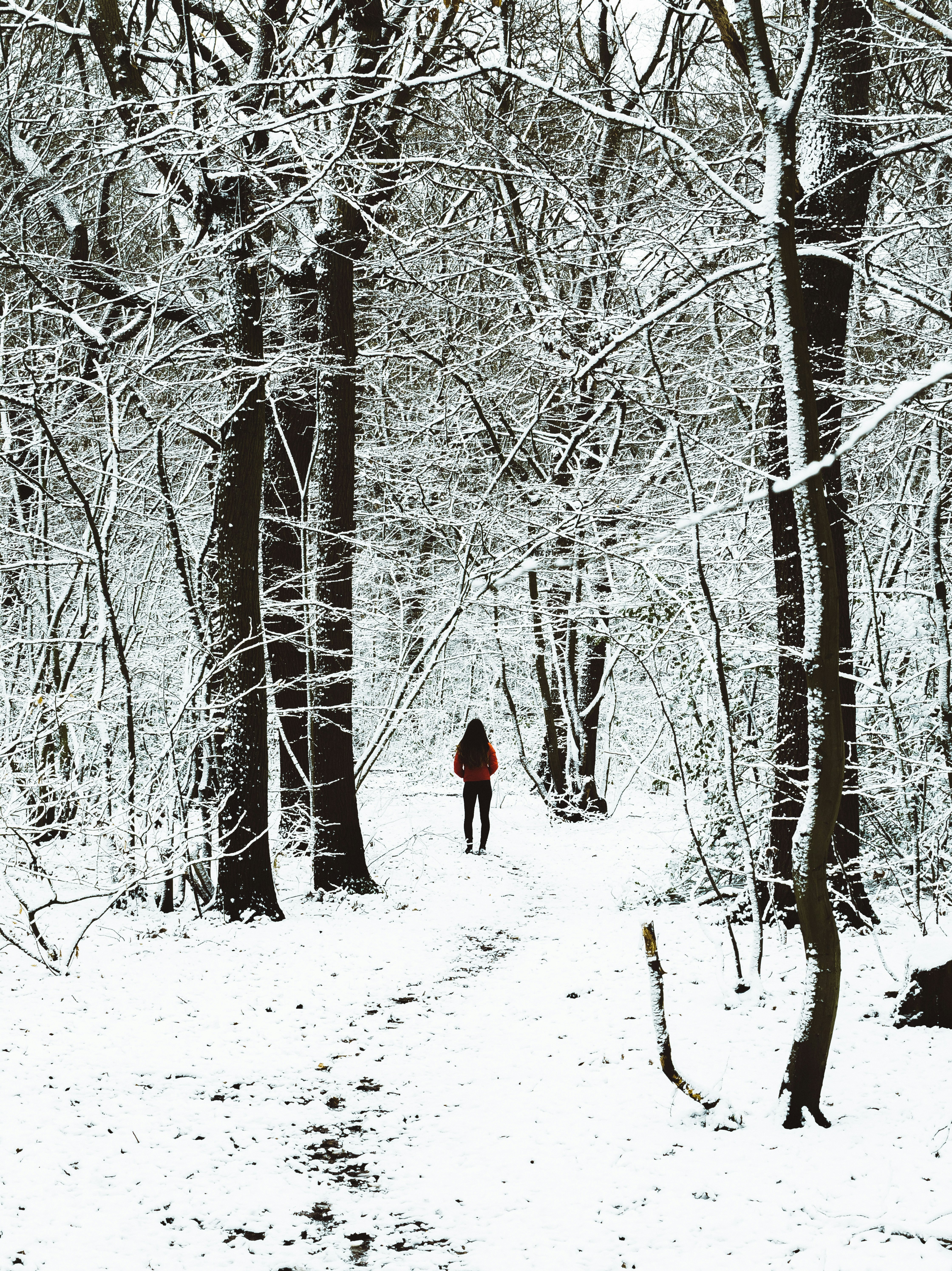 woman walking under the trees