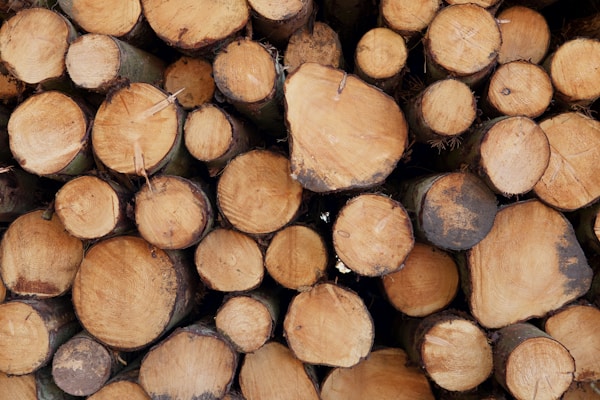Fresh palo santo wood logs stacked neatly, showing natural texture.