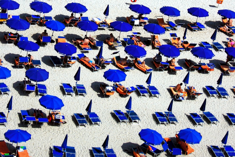 aerial photo of beach lounge chairs and umbrellas