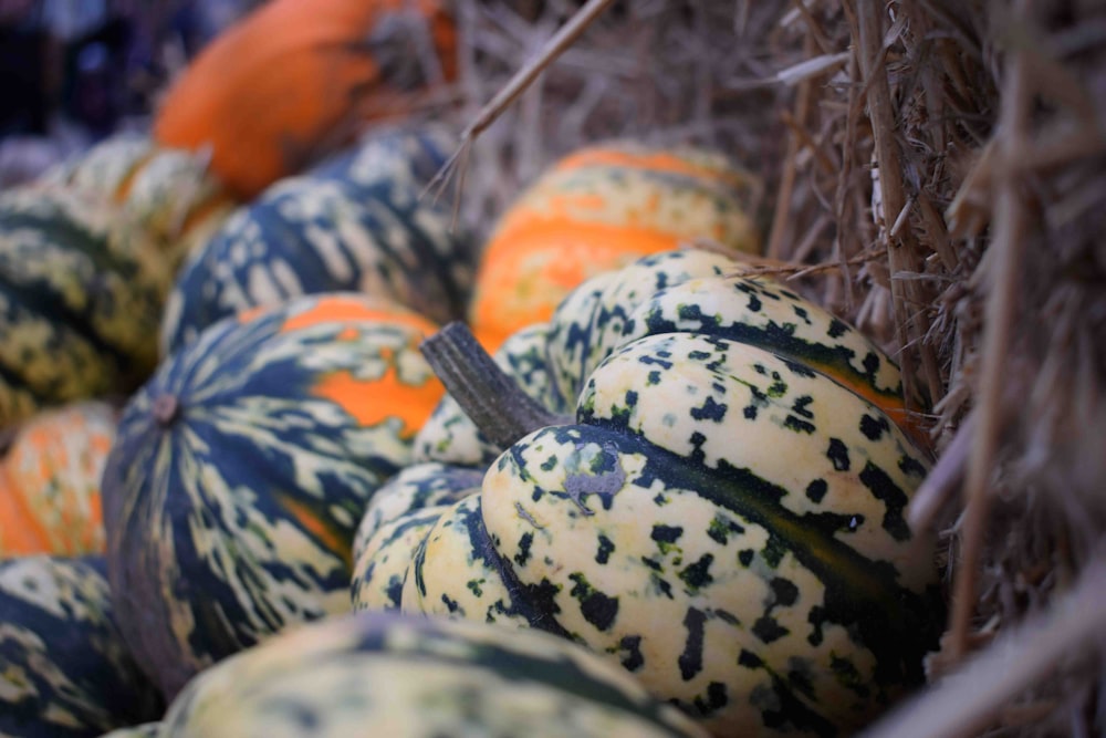 assorted-color pumpkins