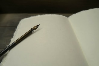 A vintage fountain pen rests on an open blank book with textured pages, creating a nostalgic and inviting scene for writing.