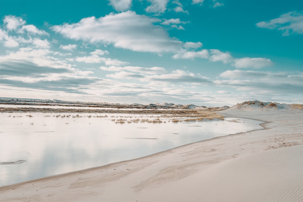 seashore during day time