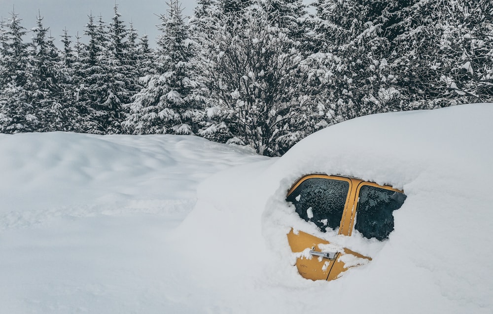 Picture of a car that's been snowed under with only a window visible and a forest in the background