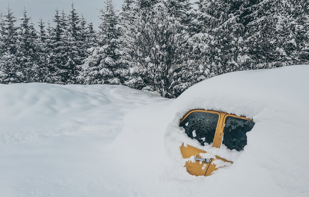 photo of brown vehicle covered with snow near pine tree forest