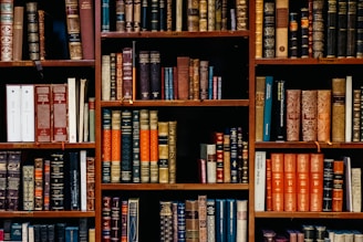 assorted-title of books piled in the shelves