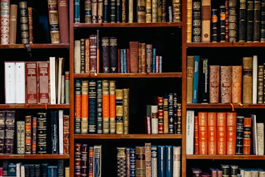 assorted-title of books piled in the shelves