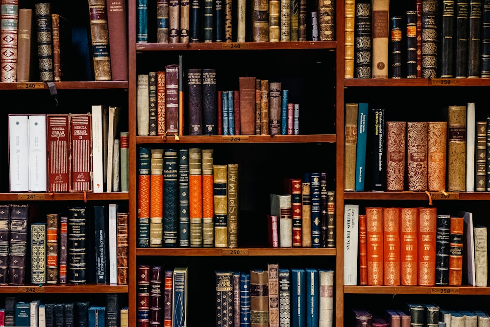 assorted-title of books piled in the shelves