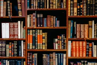 assorted-title of books piled in the shelves