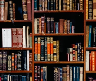 assorted-title of books piled in the shelves