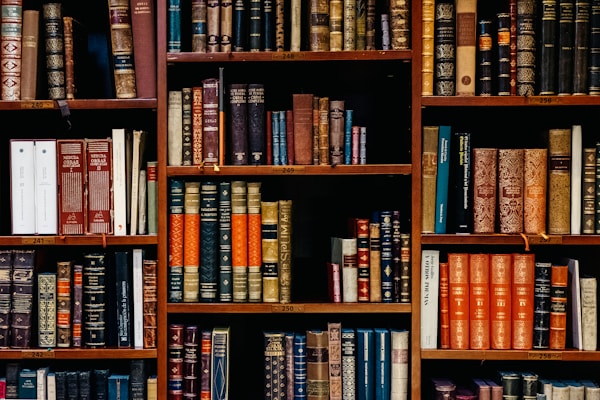 Interior of a small community library with wooden shelves