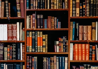 assorted-title of books piled in the shelves