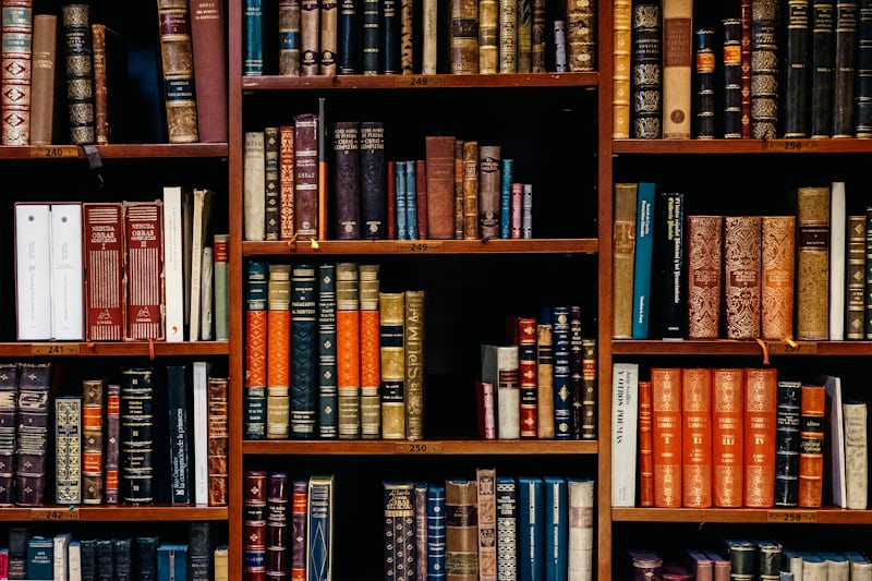 Picture of a bookcase filled with books