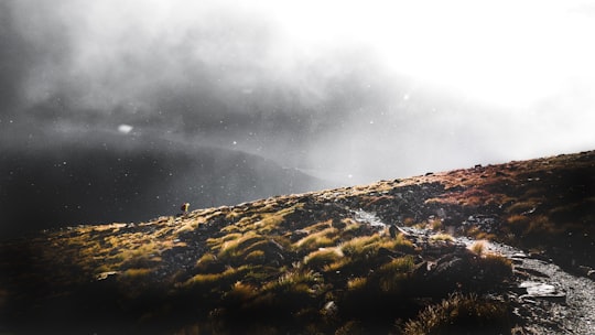 photo of landscape in Kepler Track New Zealand