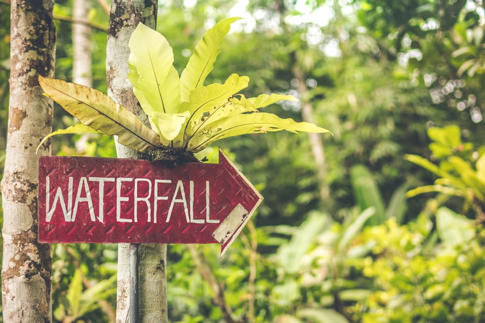 right way Waterfall signage hanging on tree trunk