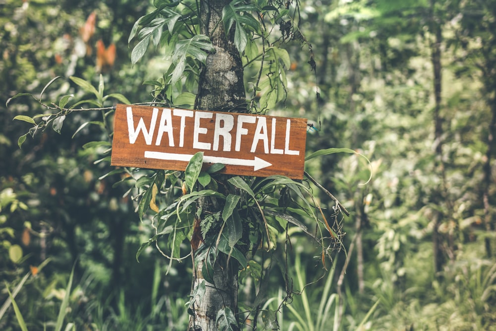 selective focus photography of Waterfall signboard