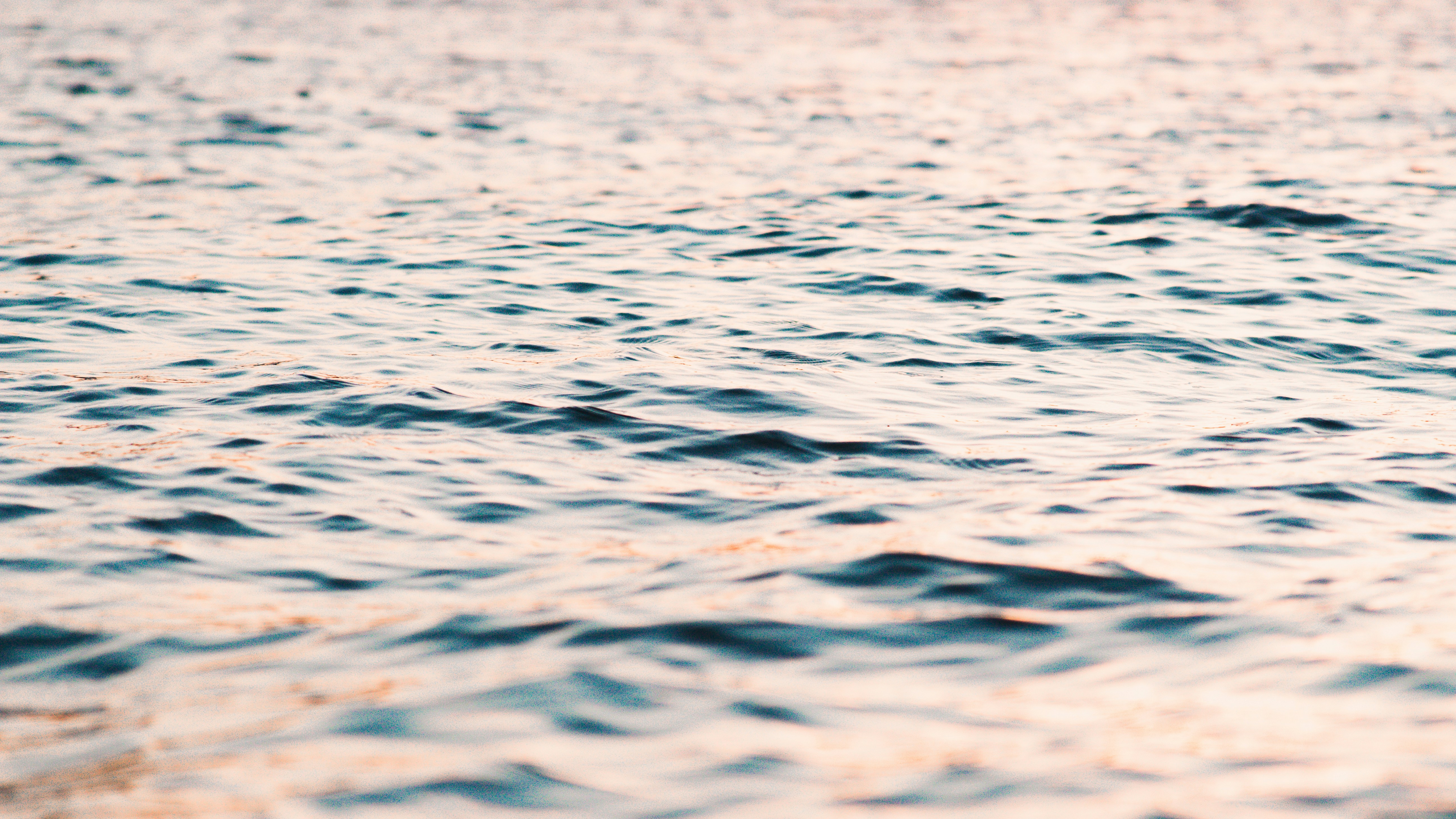 Why 'Mental Liquidity' Is the Key to Success in Education and Beyond